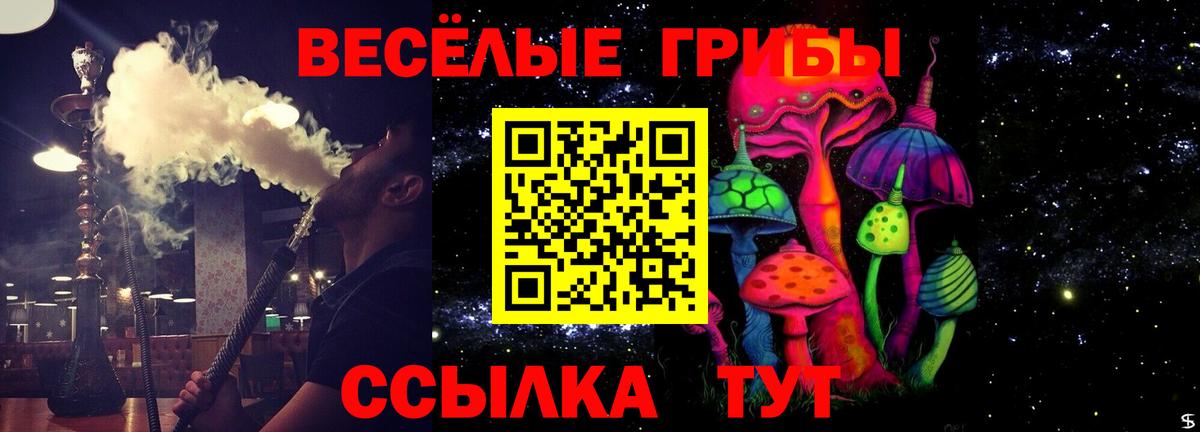 Псилоцибиновые грибы Cubensis Барабинск